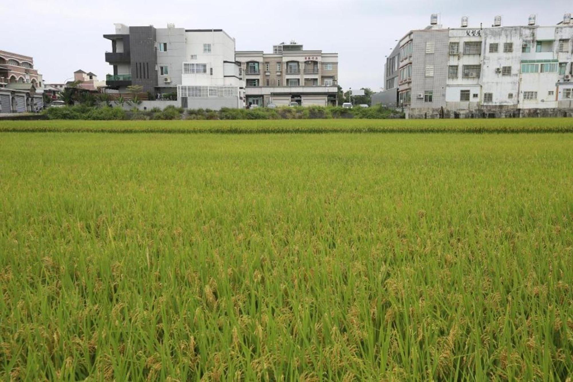 ไท่ถุง ฟรีโฮม เบดแอนด์เบรคฟาสต์ Apartment Taitung ภายนอก รูปภาพ